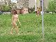 naked in the park