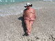 BBW AT Nude
Beach