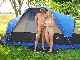 Nudist Campers