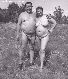 Ugly fat nudists.