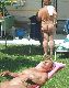 Nudists Voyeured :)