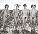 Vintage hairy nudists.