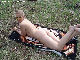 nudist wife