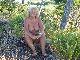 nudist gilf