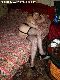 Lovely grandma in hot nylon