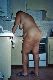 naked in the kitchen