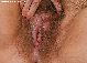 hairy vagina
