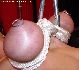 bound tits